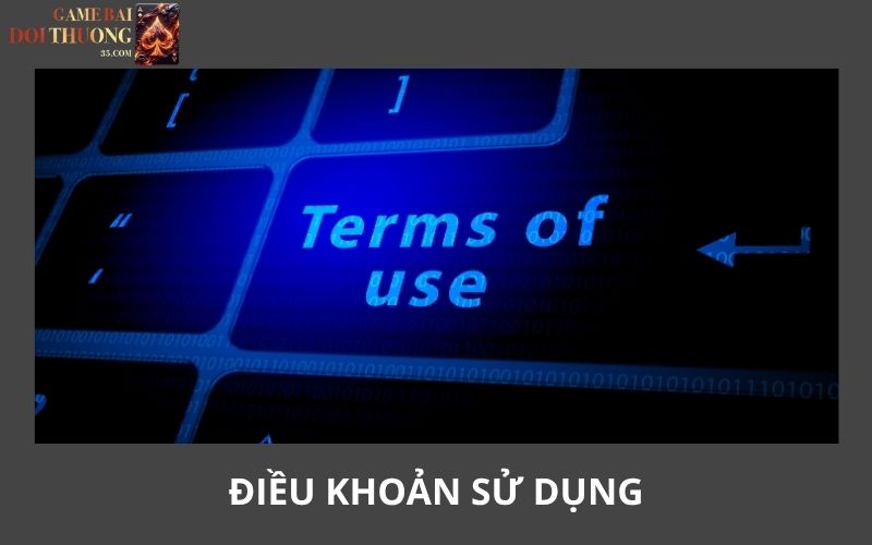 Điều khoản sử dụng là gì?